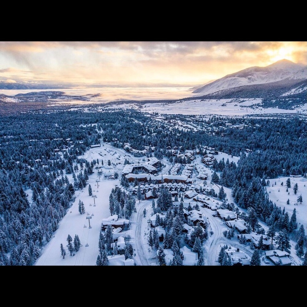 Meet your Posher, Danica